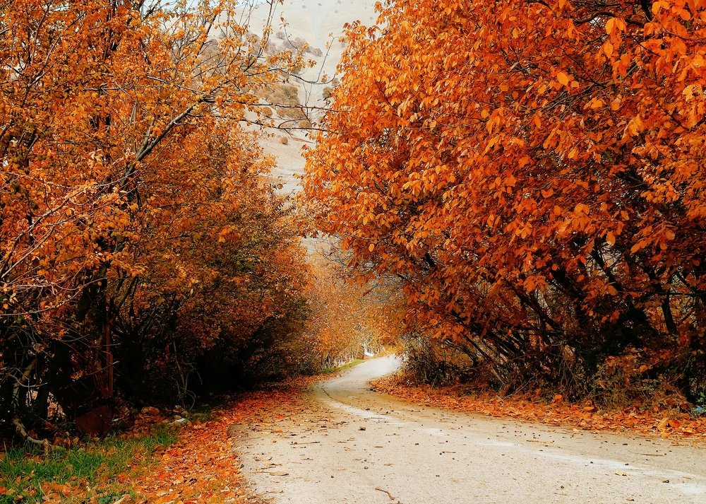 Photograph by Yahya Kakapour