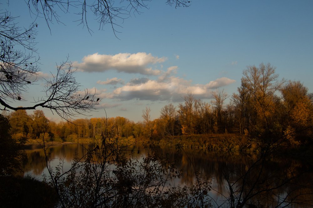 Photograph by Ксения Глубокова