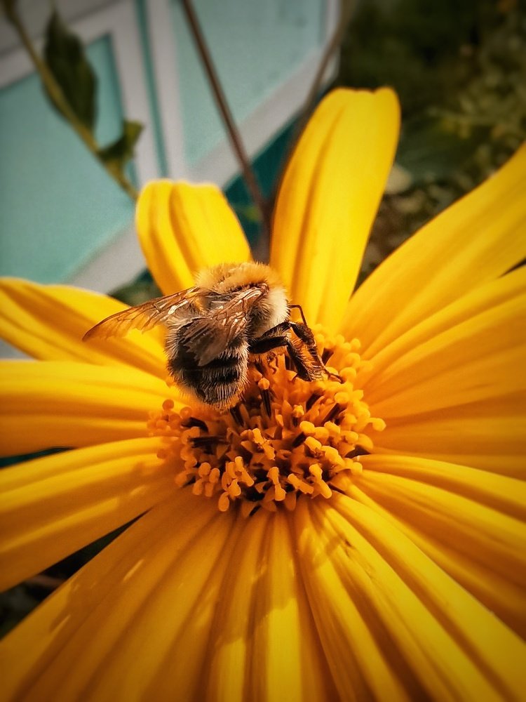 Photograph by Юлия Репина