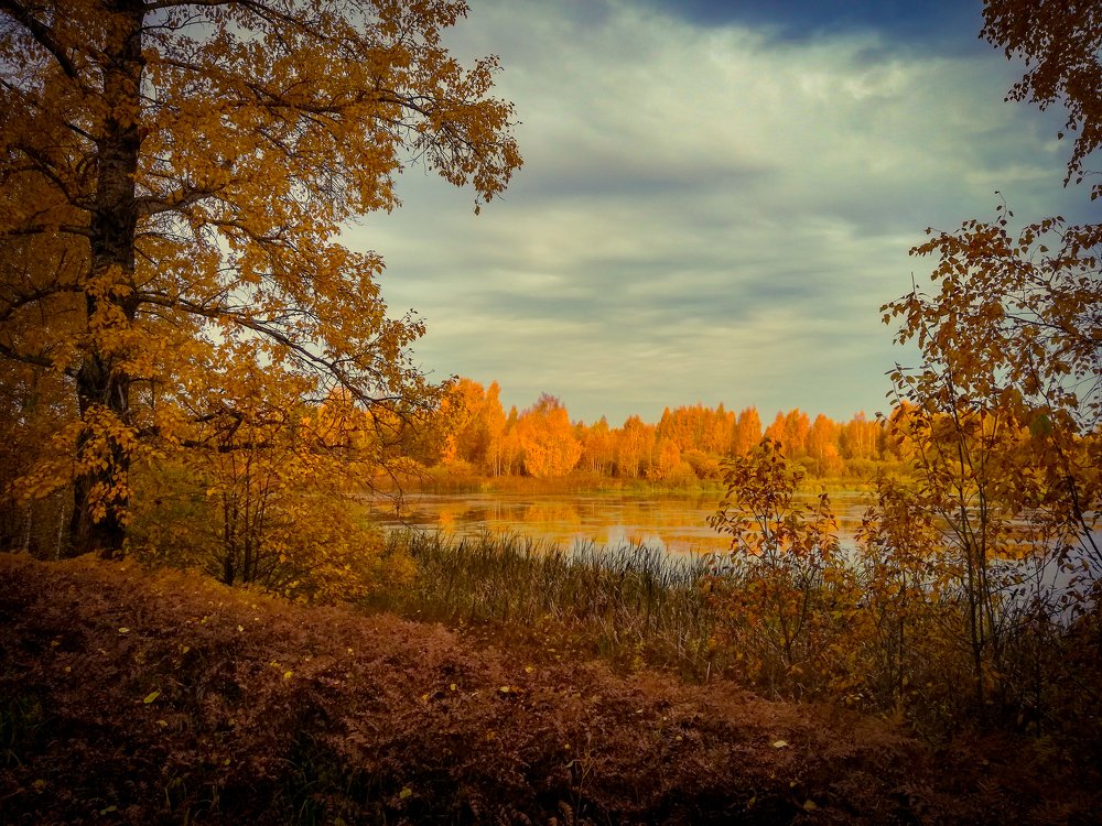 Photograph by Евгений Калагаев