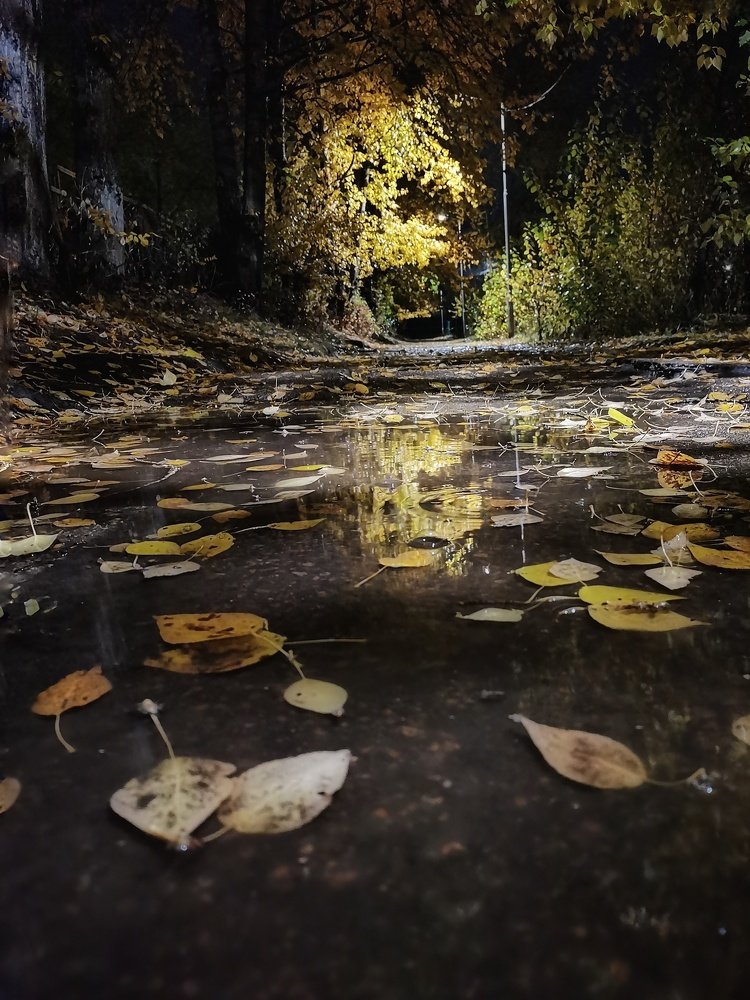 Photograph by Юлия Репина
