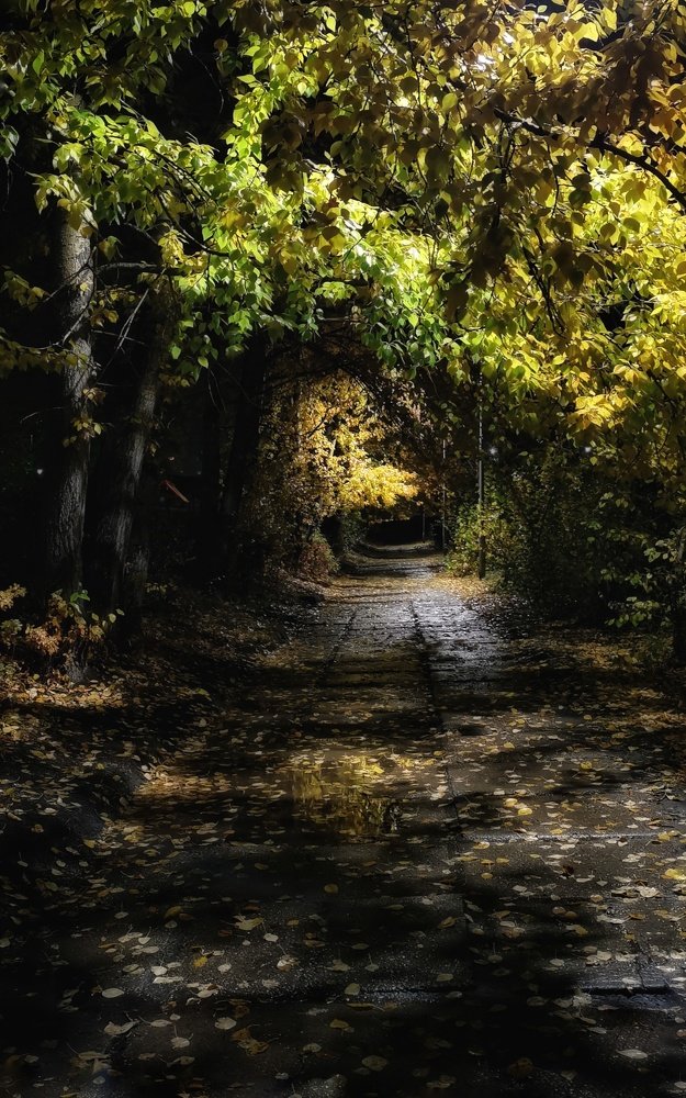 Photograph by Юлия Репина