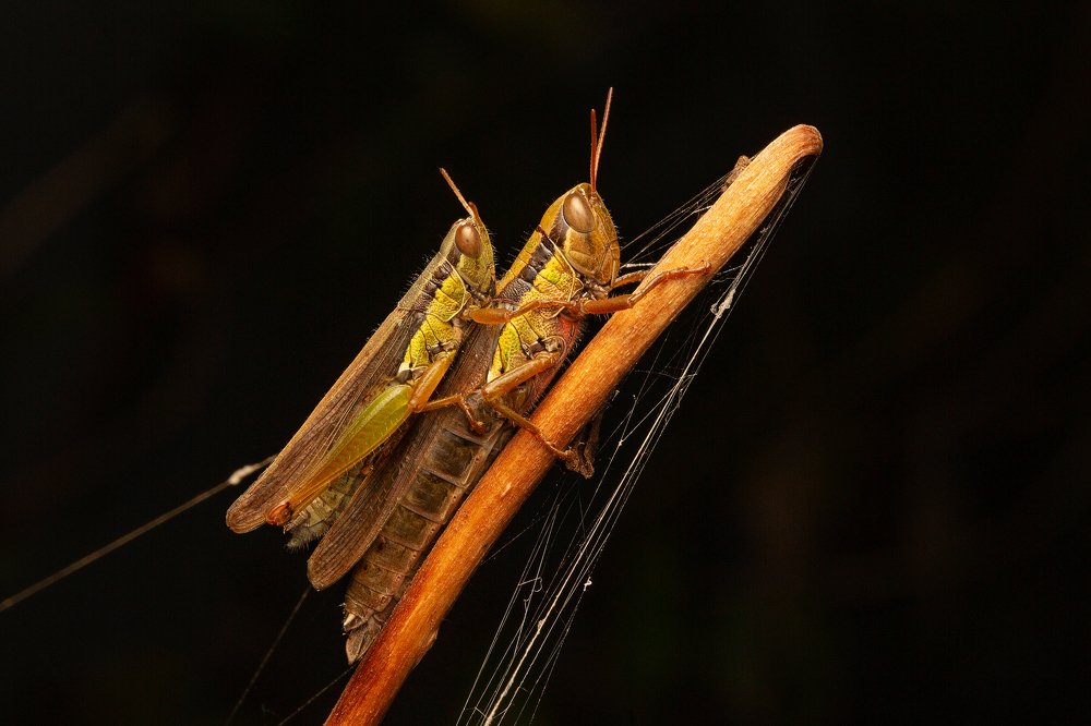 Photograph by Иван Радьков