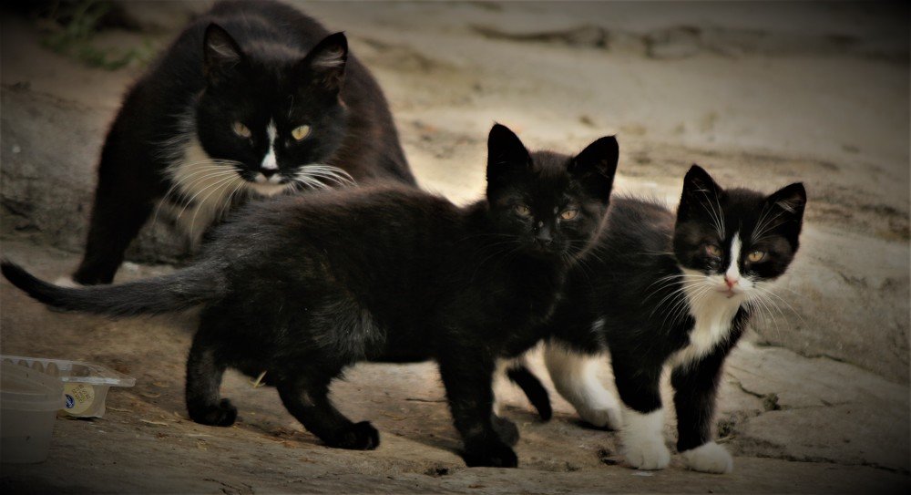 Photograph by Марина Игнатьева