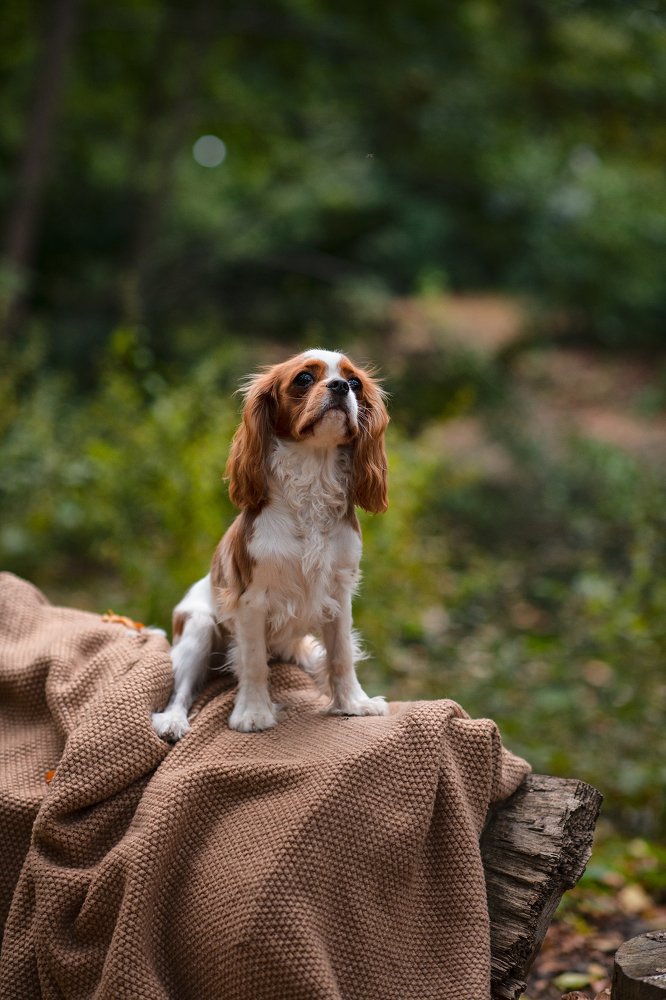 Photograph by Юлия Борт