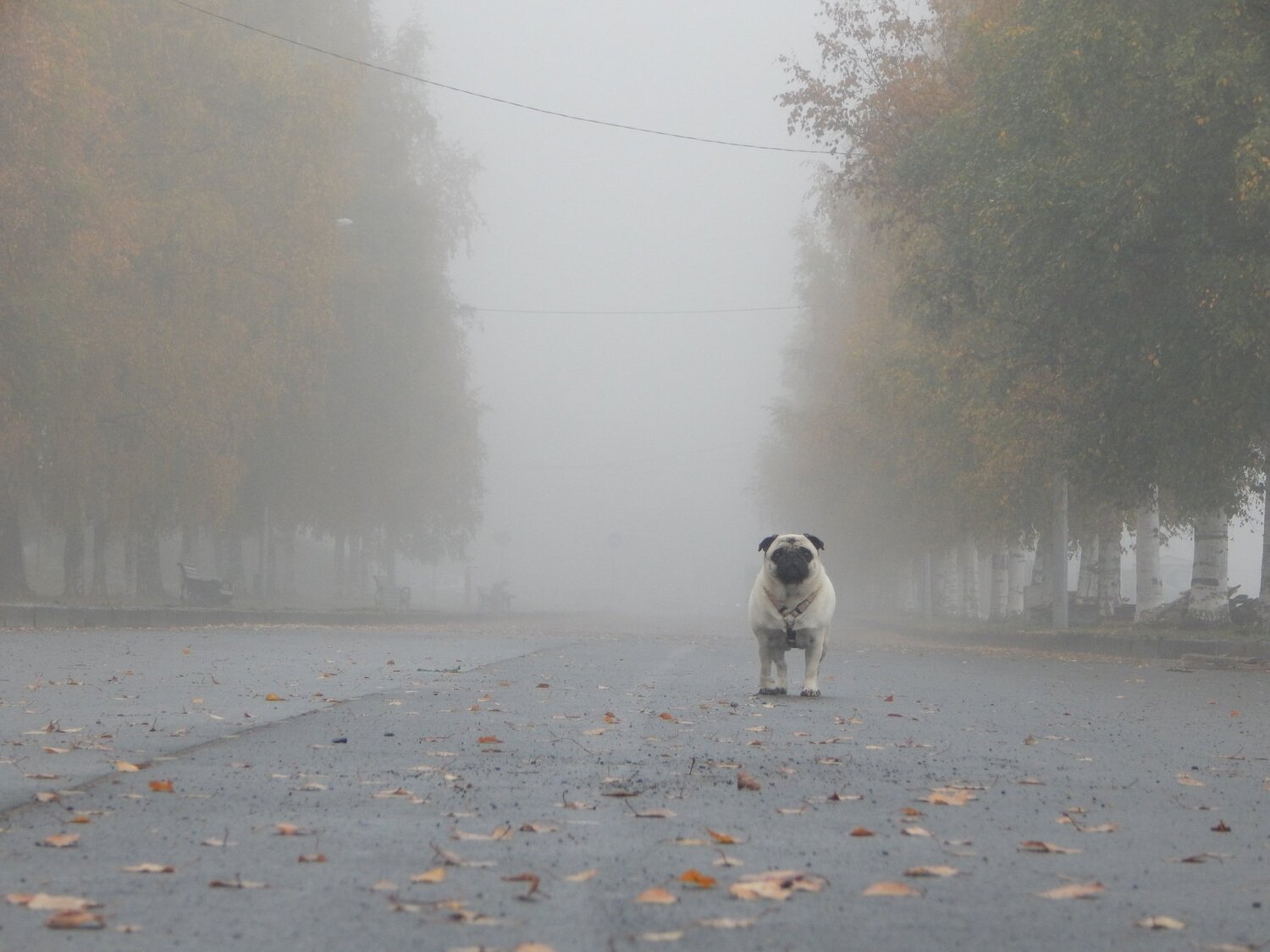 Photo #5041811