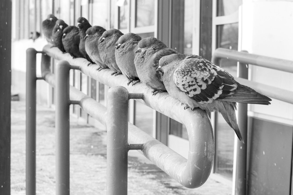 Photograph by Karina Bragina