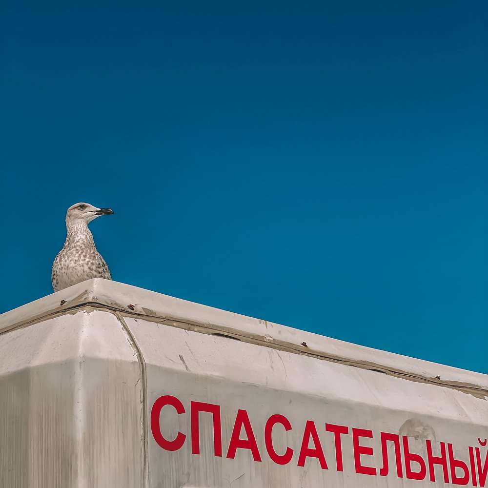 Photograph by Надежда Гаврикова