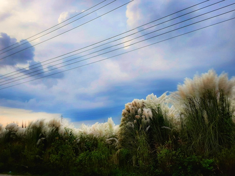 Photograph by Tanzina Ahmed