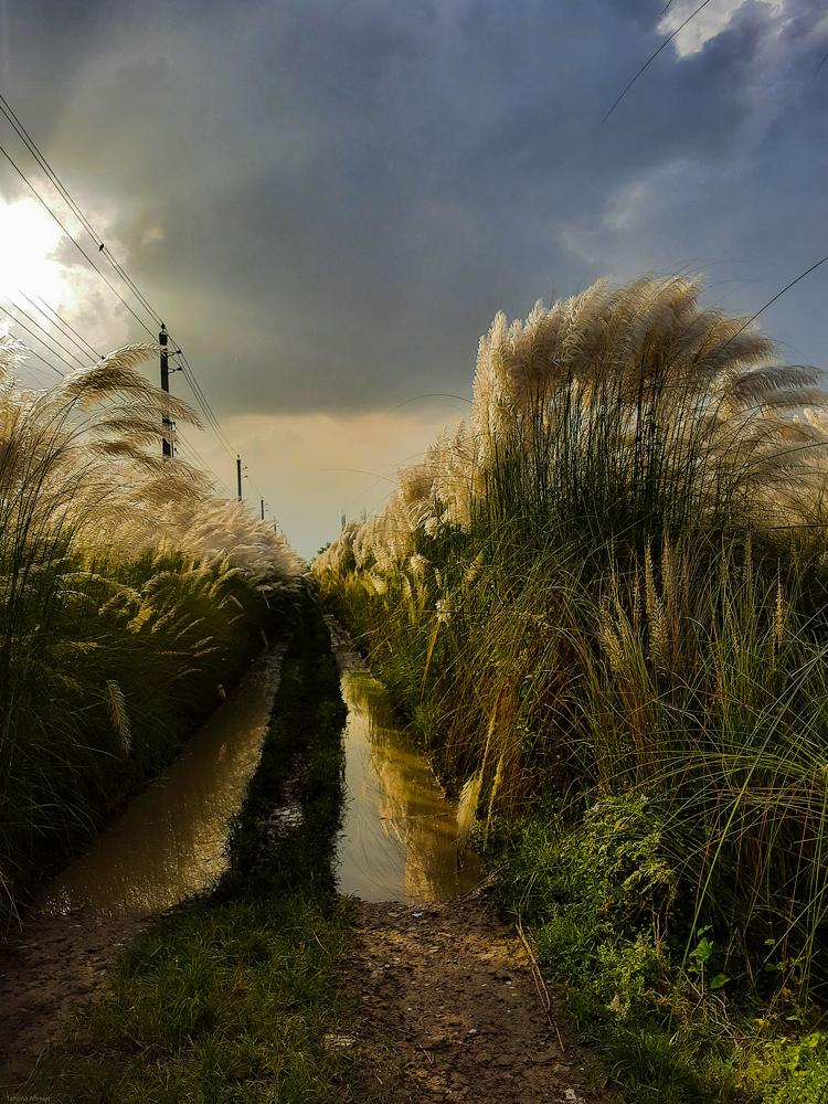 Photograph by Tanzina Ahmed