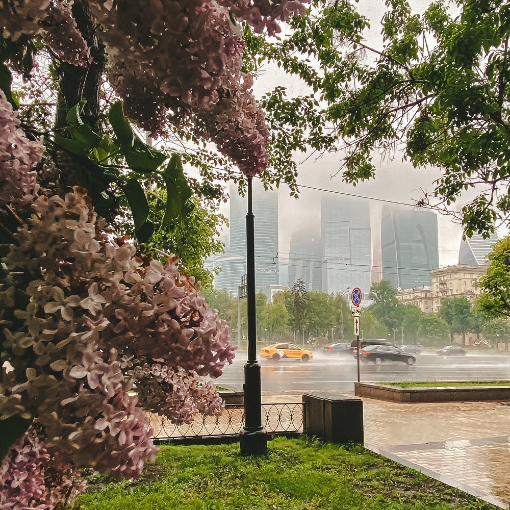 Photograph by Надежда Гаврикова