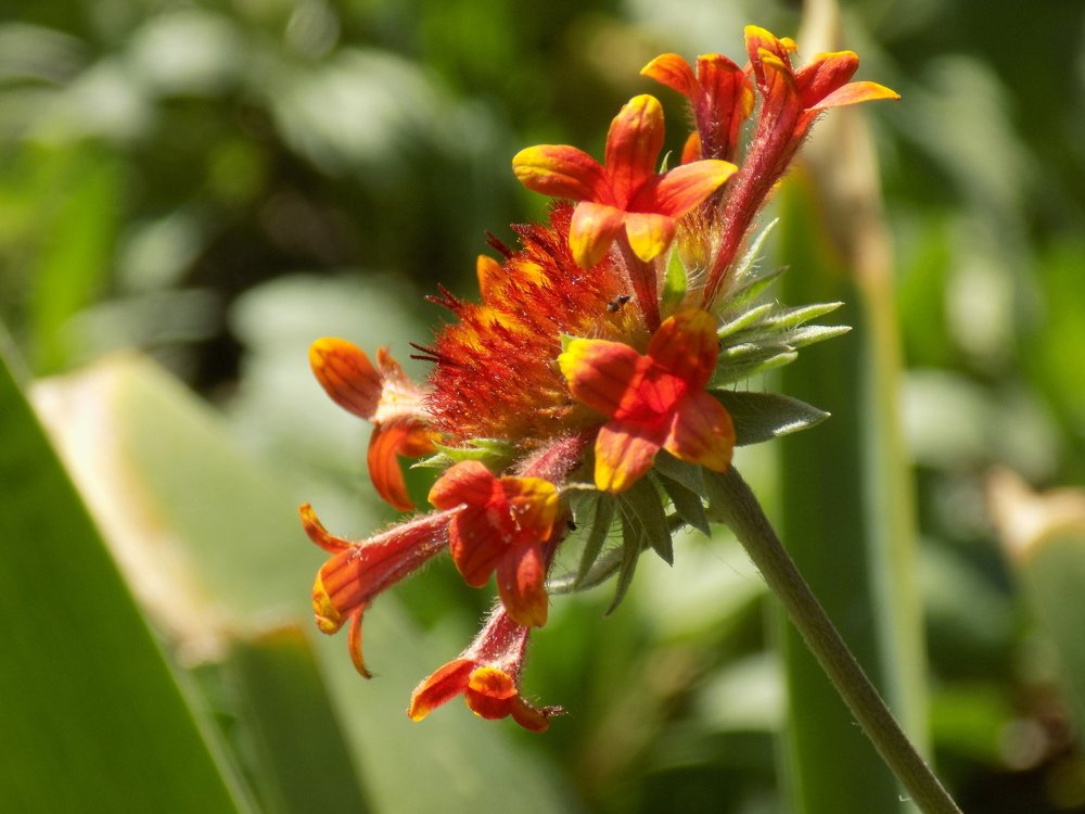 Фотография автора Станислав Рушкис