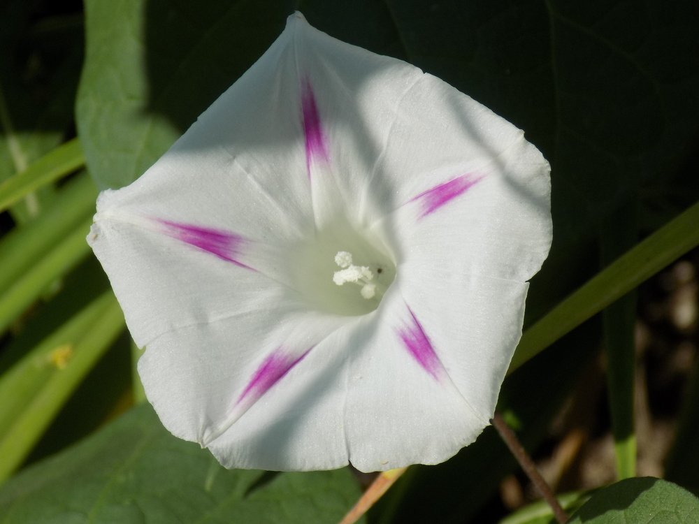 Фотография автора Станислав Рушкис