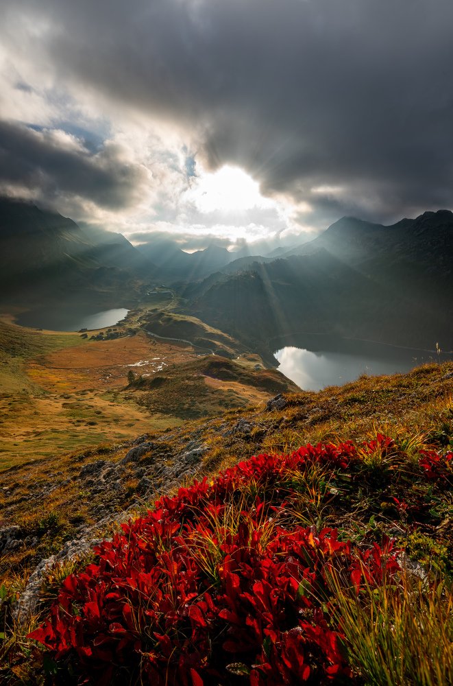 Фотография автора Maciej Karpinski