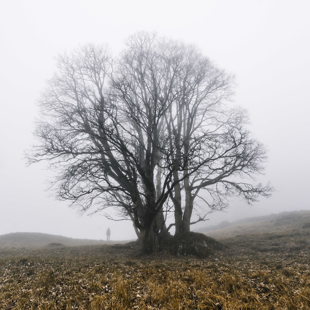 Фотография автора Maciej Karpinski