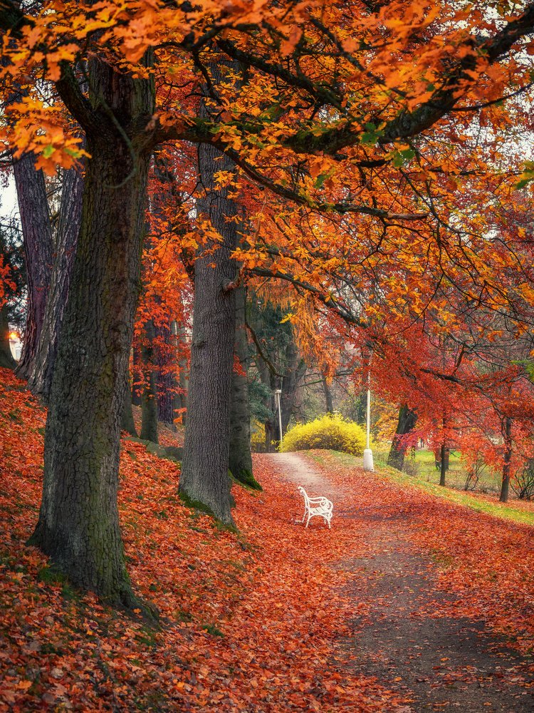 Photograph by Evgeni Fabis