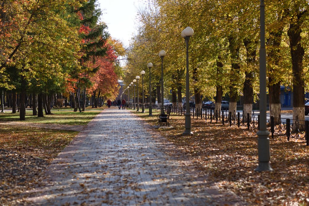 Photograph by Ирина Ященко