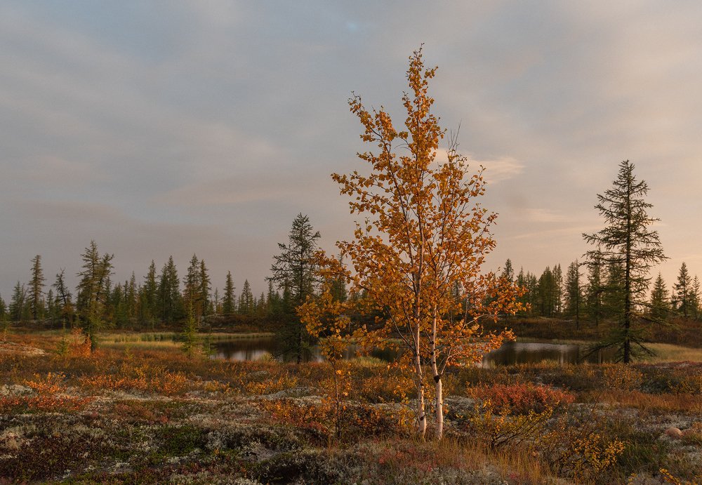 Photograph by Андрей Снегирёв