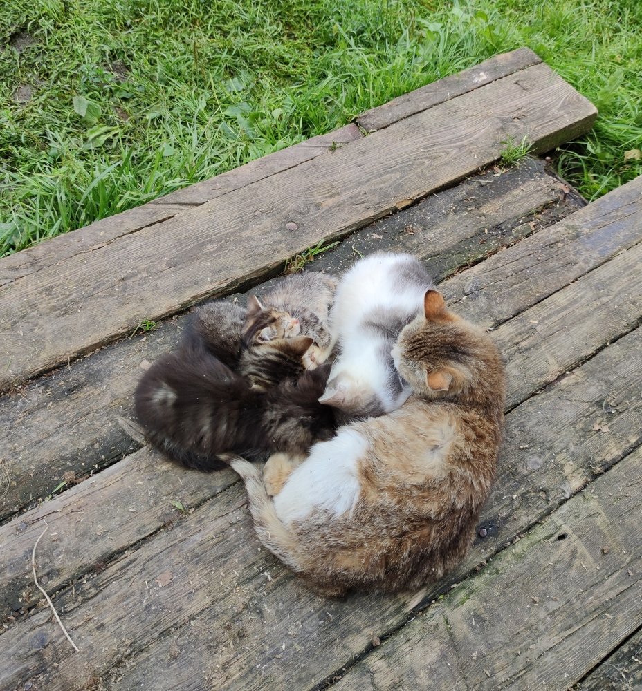 Photograph by Федотова Ольга