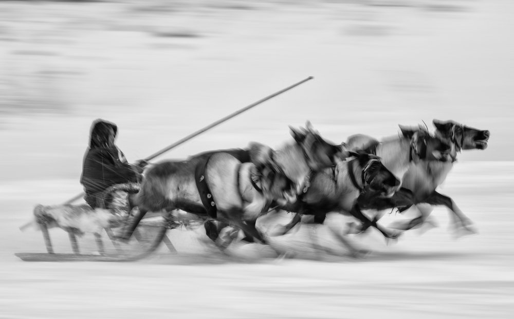 Photograph by Андрей Снегирёв