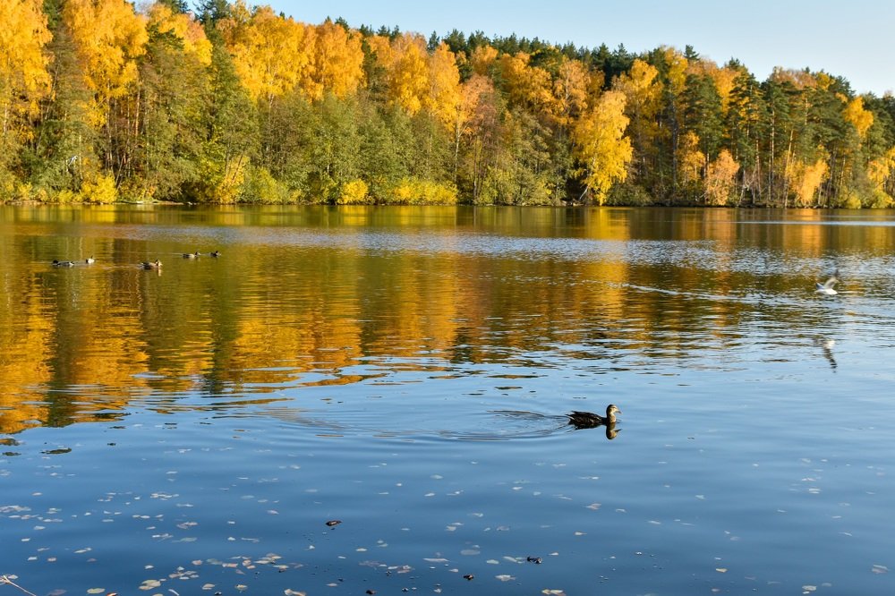 Photograph by Анна Фольмер