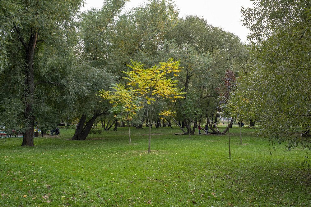 Photograph by Лукашина Елена