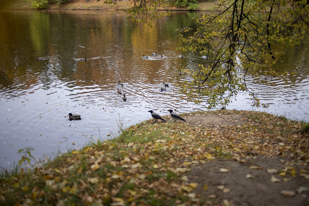 Photograph by Лукашина Елена