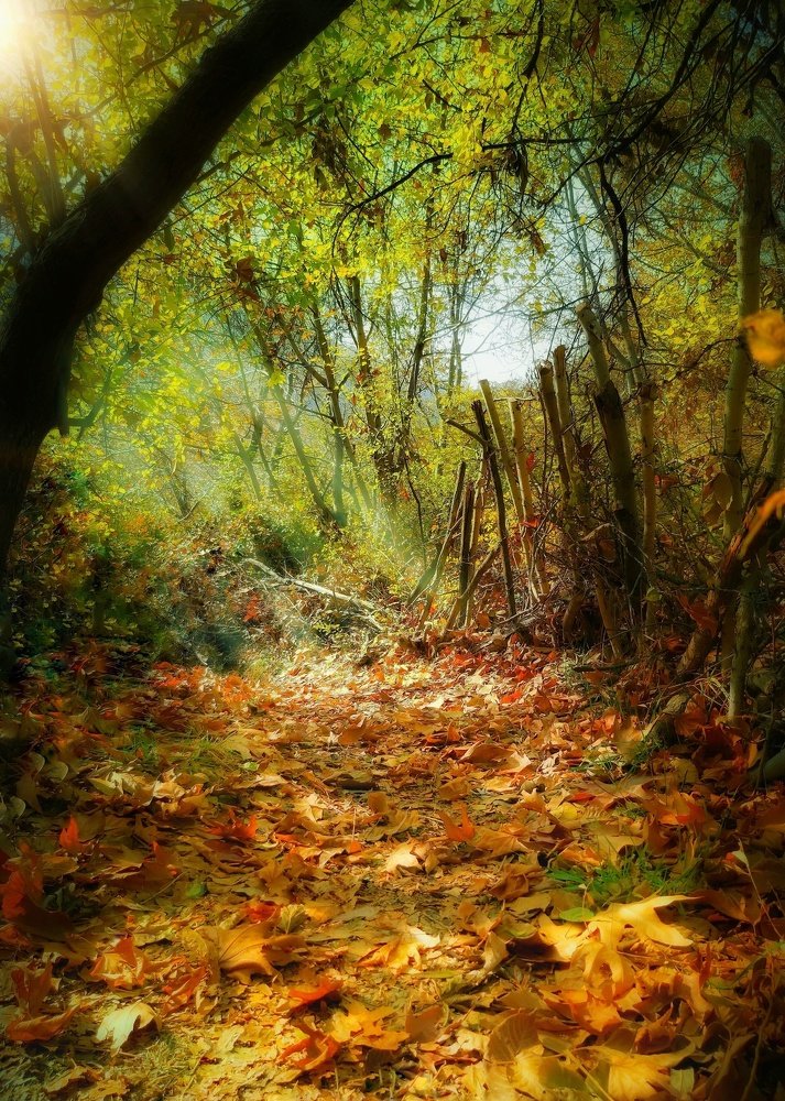 Photograph by Yahya Kakapour