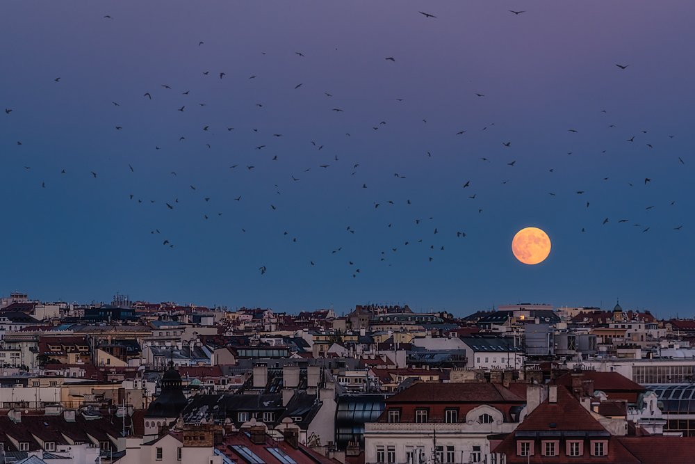 Photograph by Helen Mountaniol