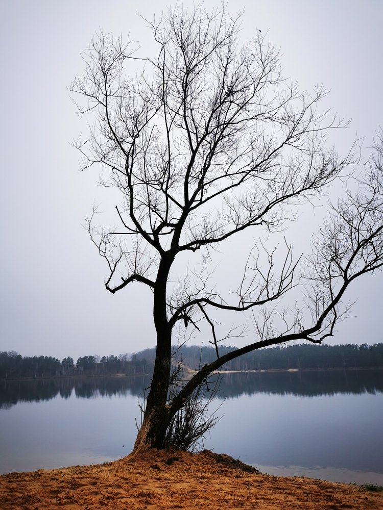 Волкушенский карьер. Лыткарино