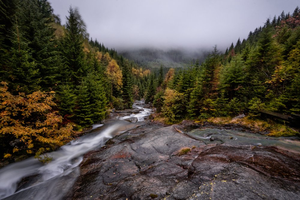 Photograph by Helen Mountaniol