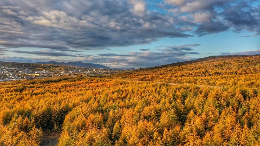 Краски осени