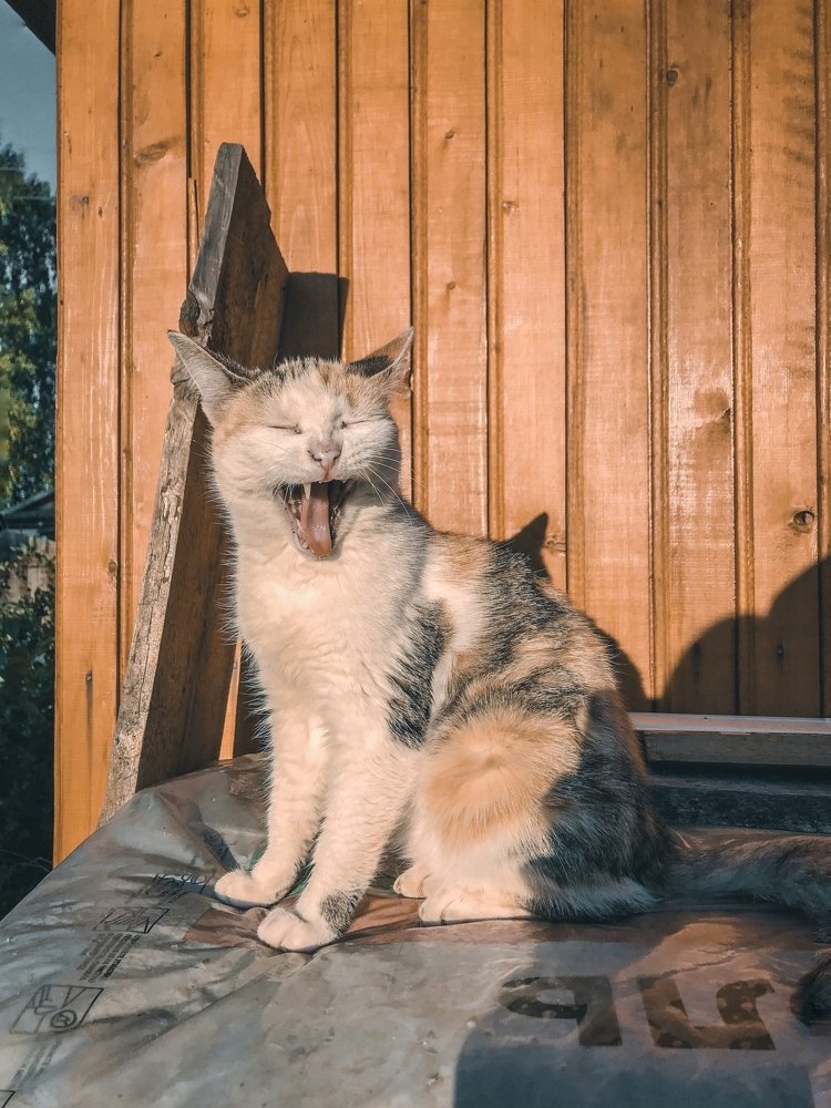 Photograph by Дмитрий Гришкевич