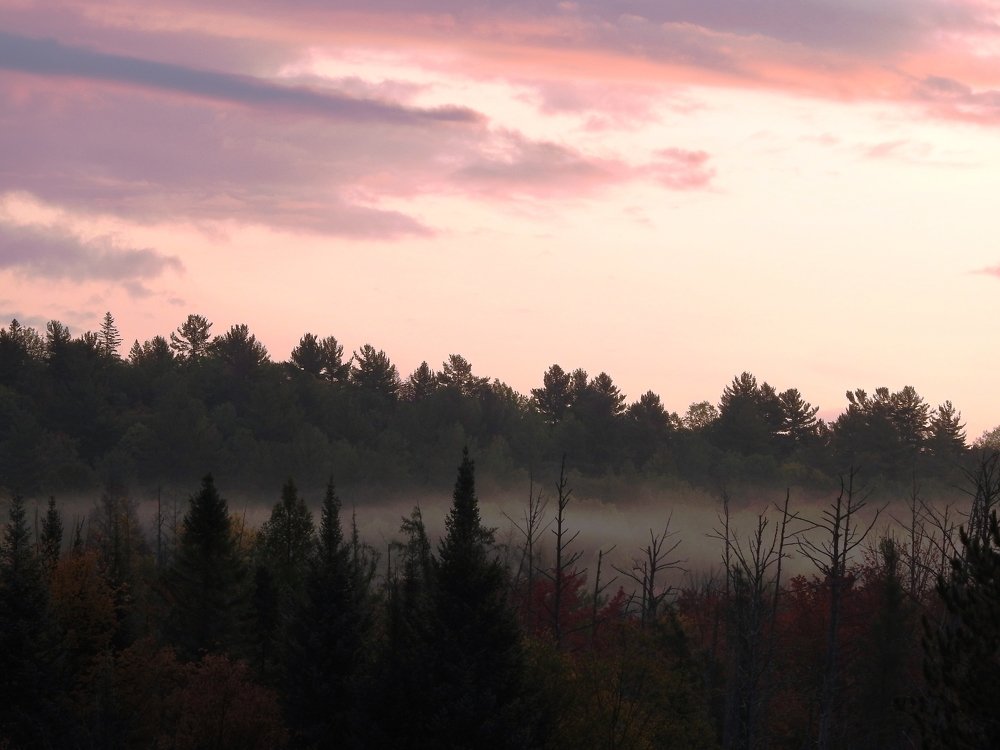 Photograph by Josée Beauchemin