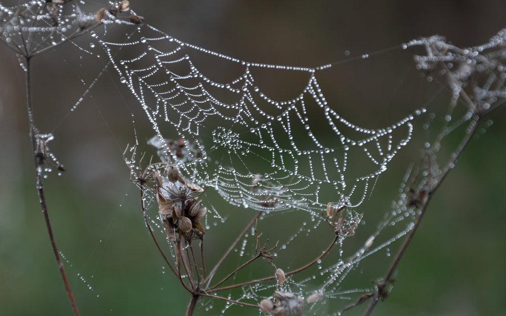 Photograph by Алексей Крукович