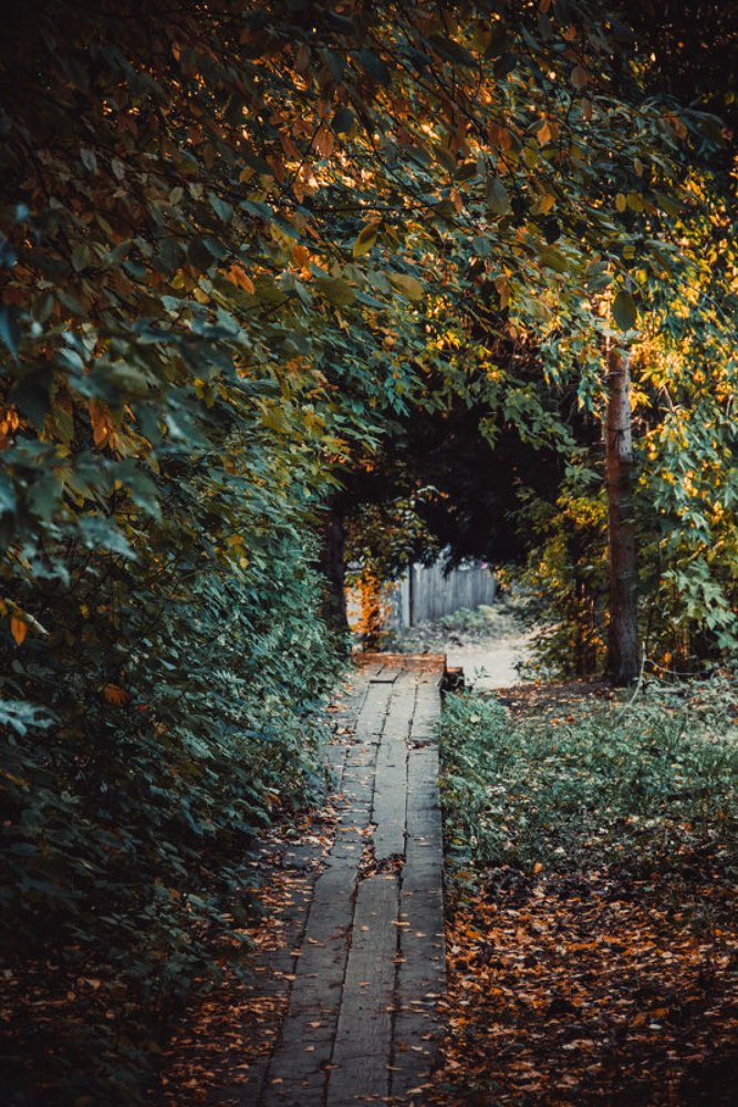 Осенний портал-2