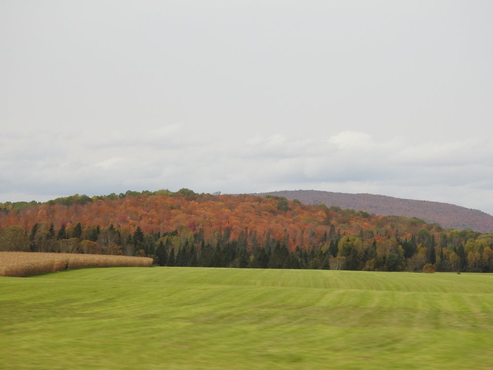 Photograph by Josée Beauchemin