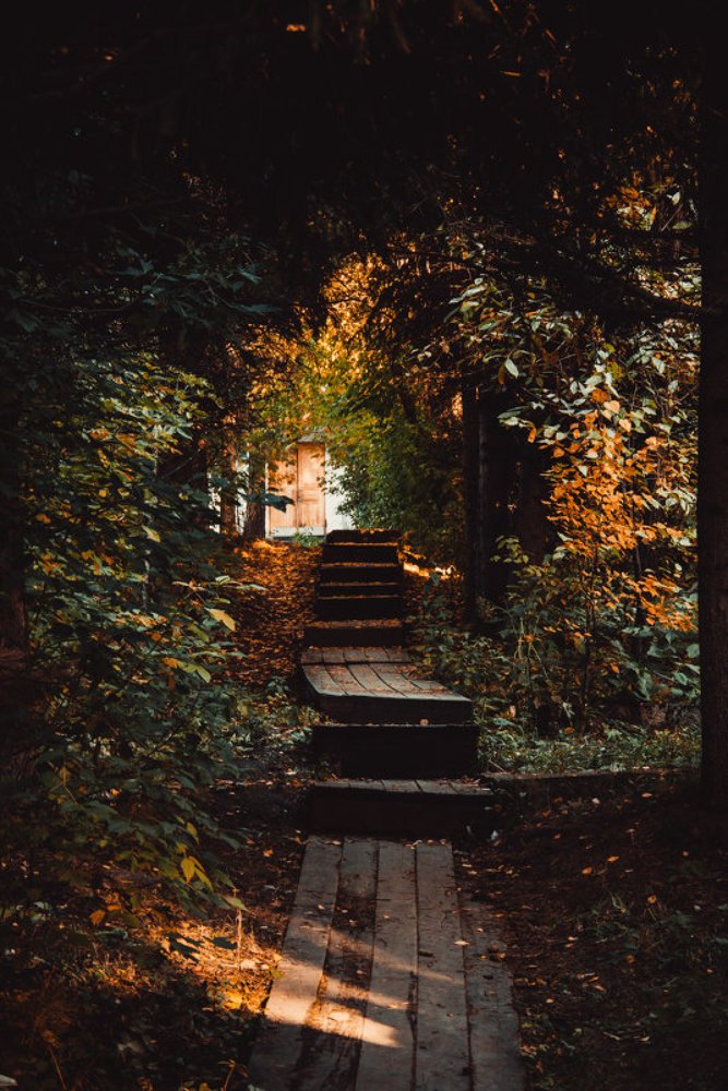 Осенний портал