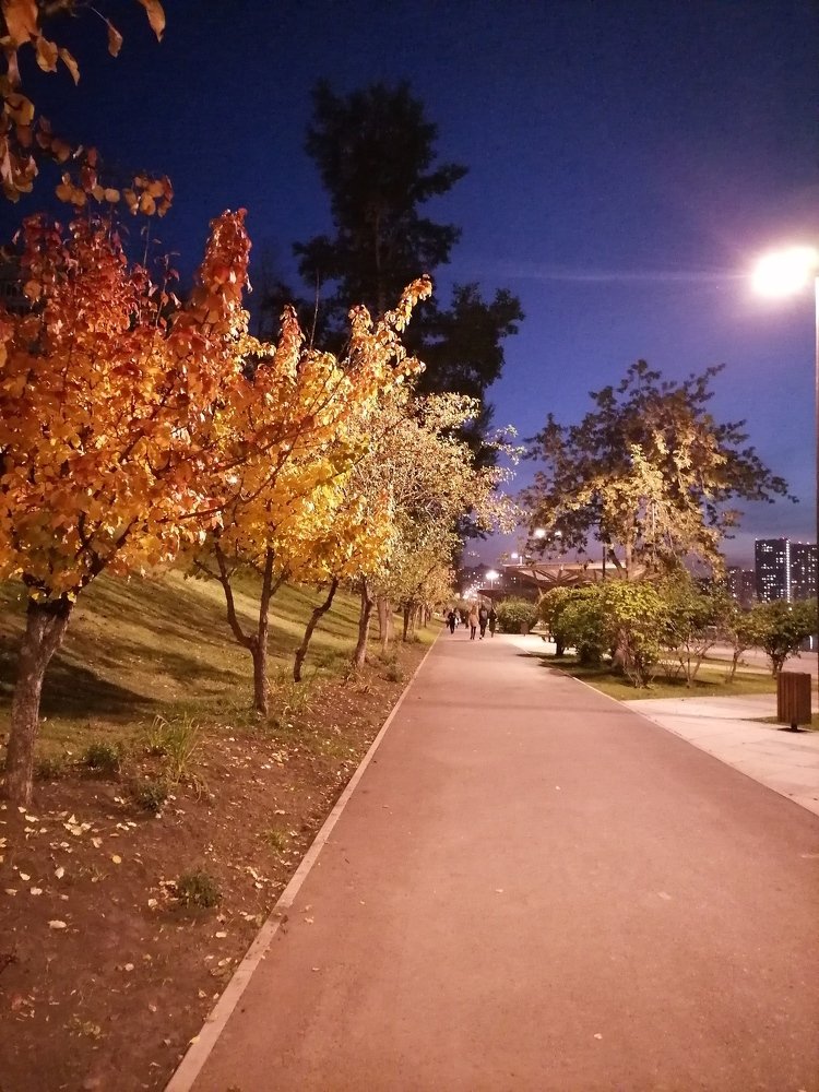 Photograph by Юлия Гагарина