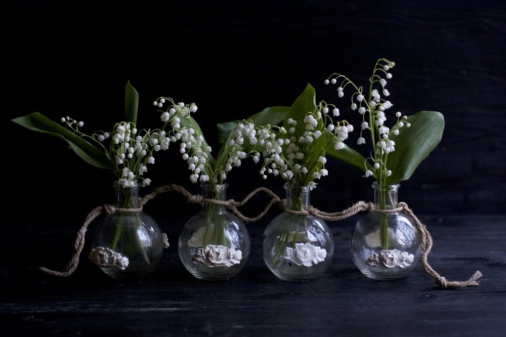 Photograph by Елена Новикова