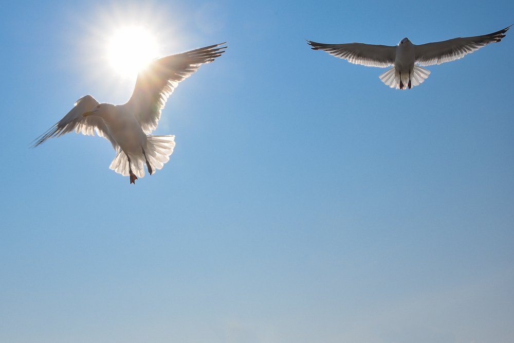 Photograph by Ира Жара