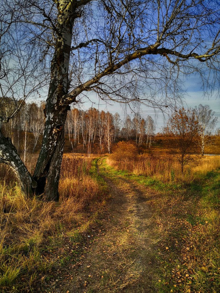 Фотография автора Андрей Данильсон