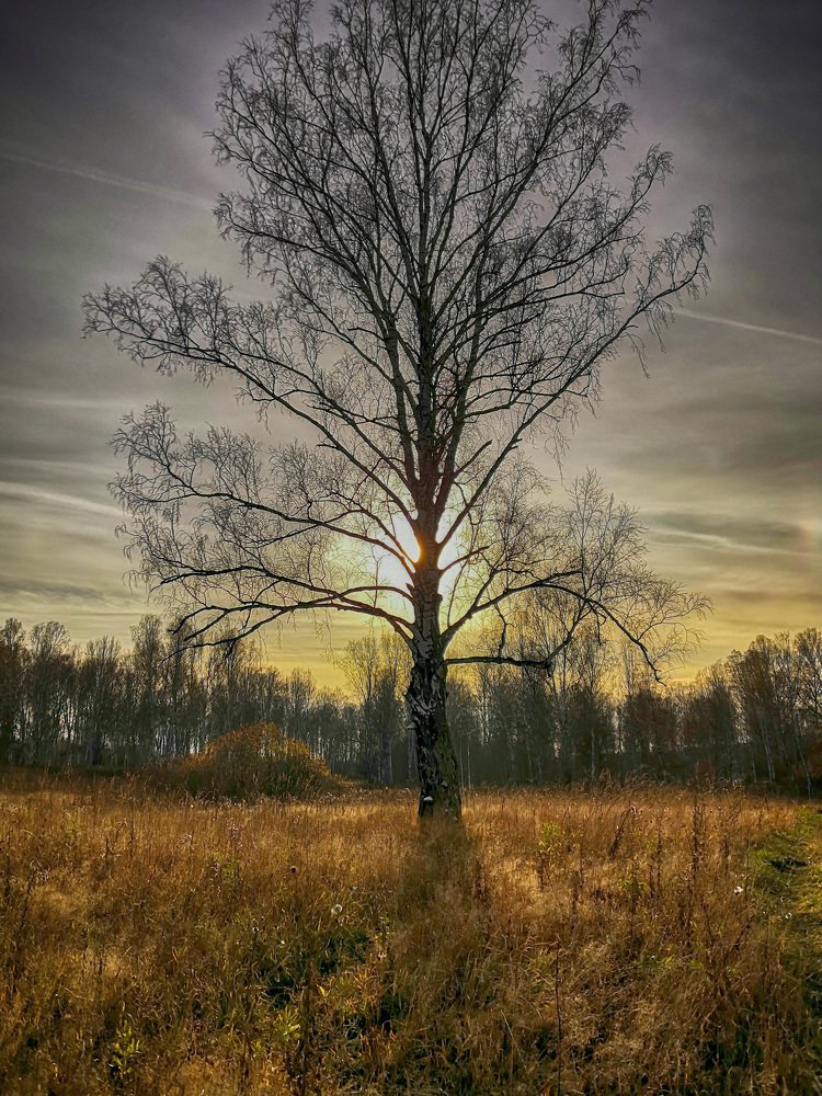 Фотография автора Андрей Данильсон