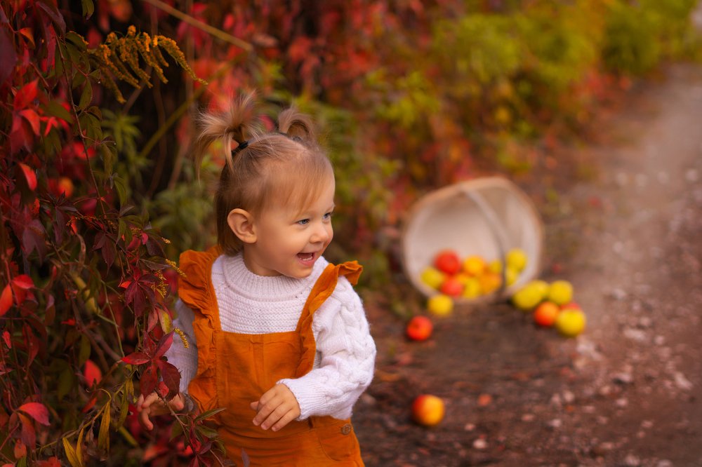 Яблочный сезон