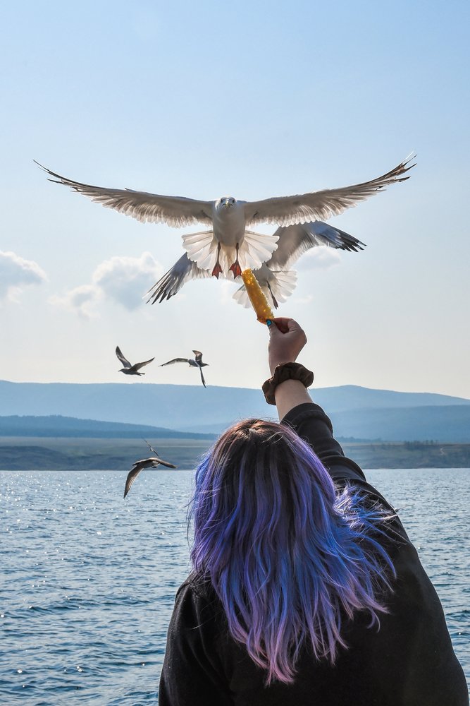 Photograph by Ира Жара