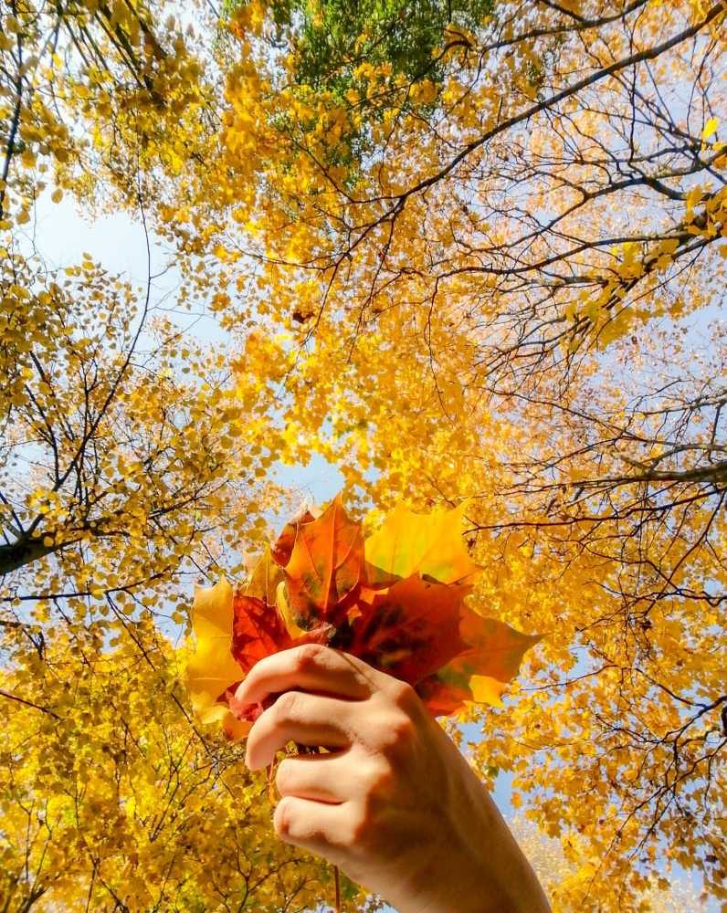 Photograph by Елена Малкова