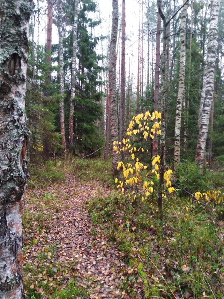 Photograph by Елена Малкова