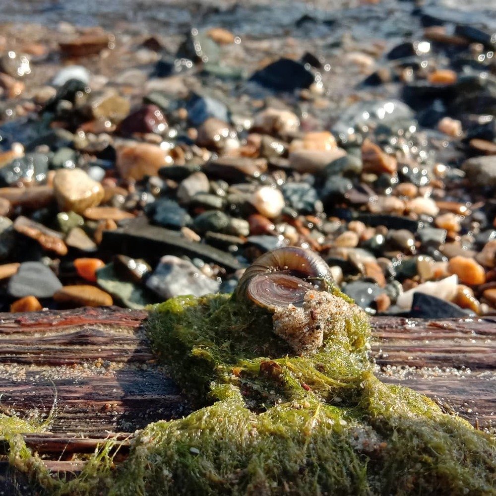 На берегу моря