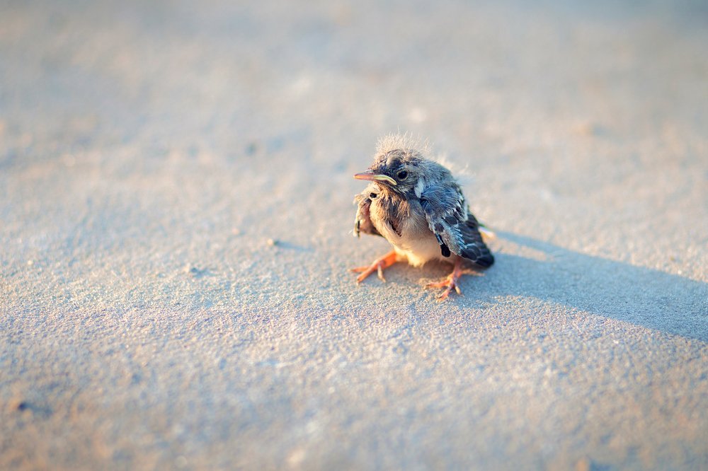 Photograph by Екатерина Кузнецова