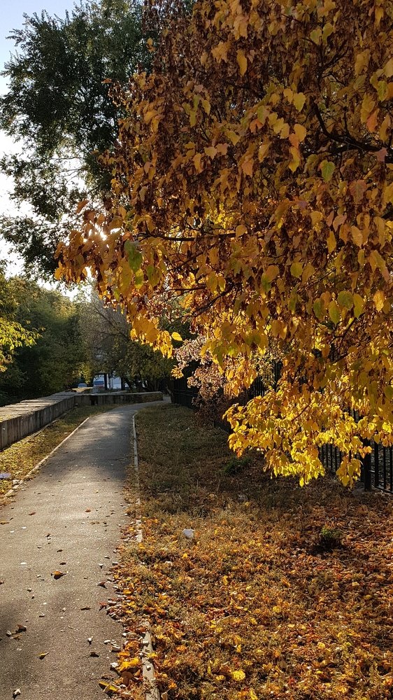 Photograph by Наталья Анисимова